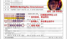 a爱爱视频,揭秘情感与性爱的交织世界